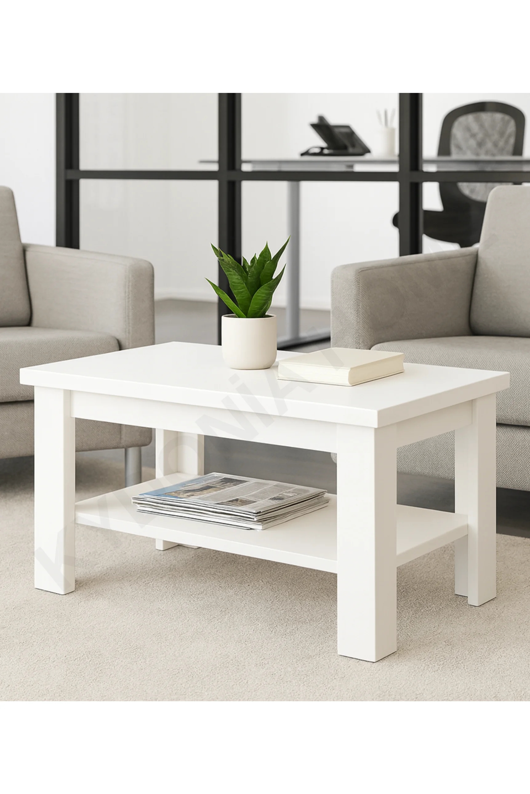 50 x 80 cm Dikdörtgen Raflı Orta Sehpa  Mat Beyaz Renkli