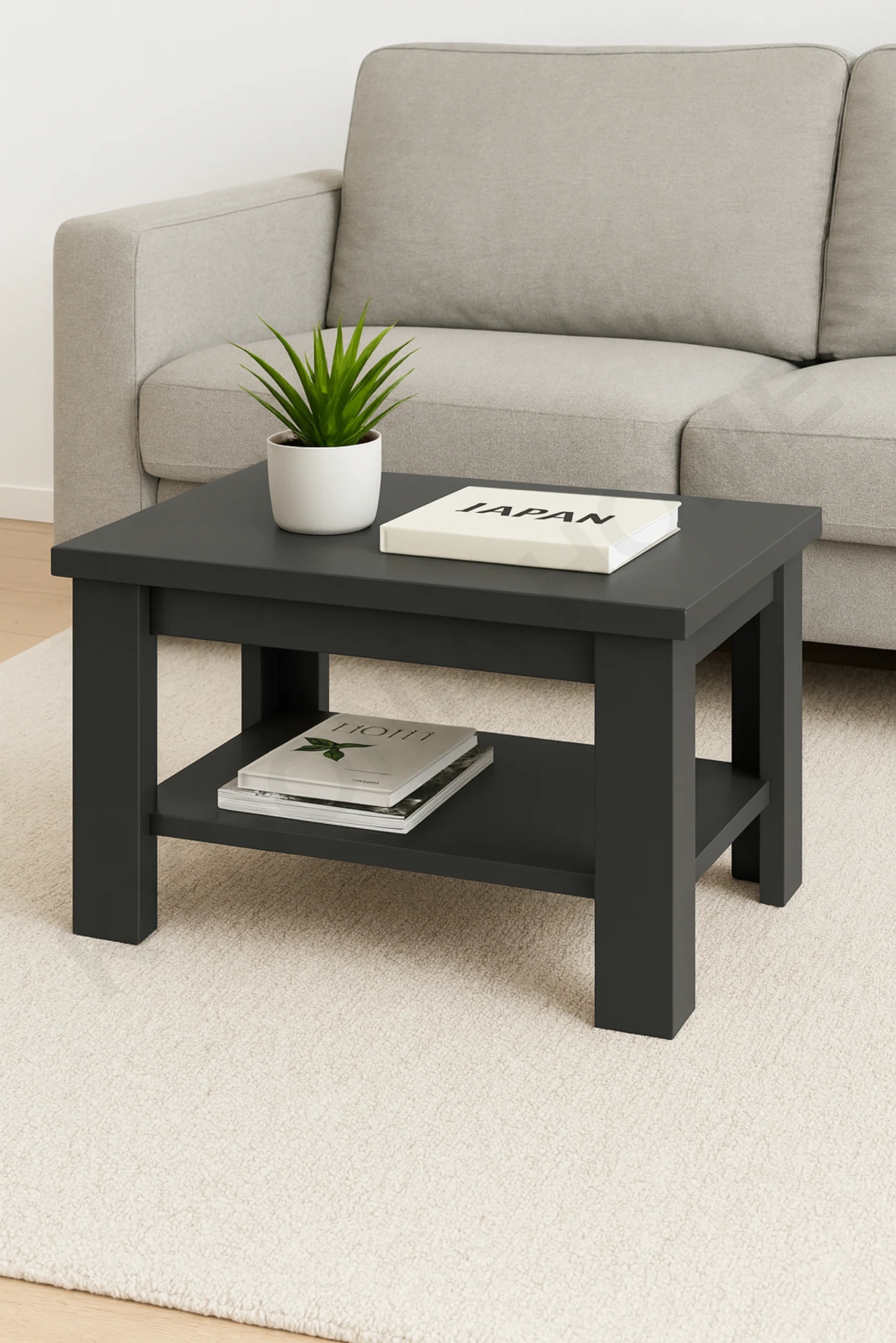 50 x 80 cm Dikdörtgen Raflı Orta Sehpa  Antrasit Renkli