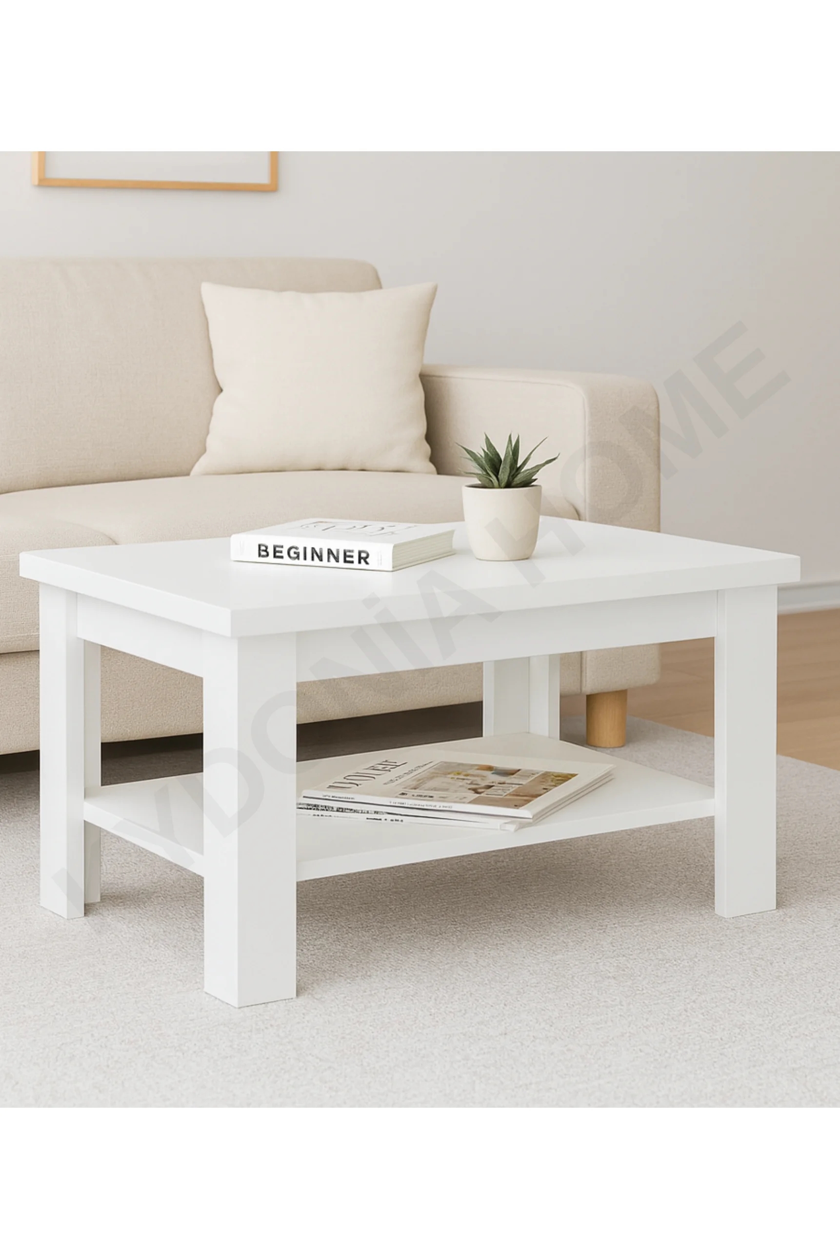 50 x 80 cm Dikdörtgen Raflı Orta Sehpa  Mat Beyaz Renkli